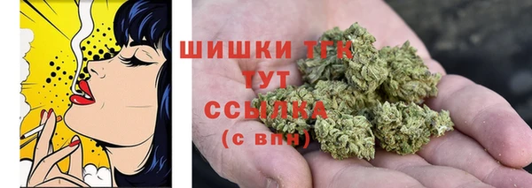 2c-b Козловка