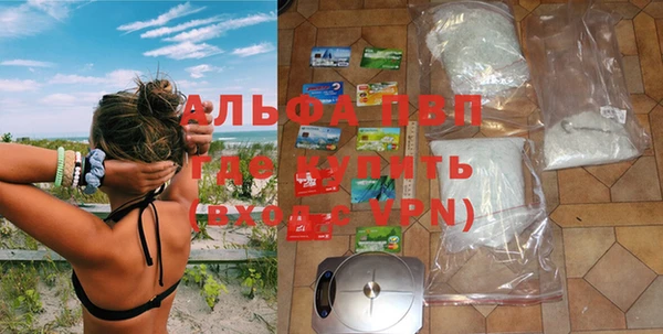 амф Козельск